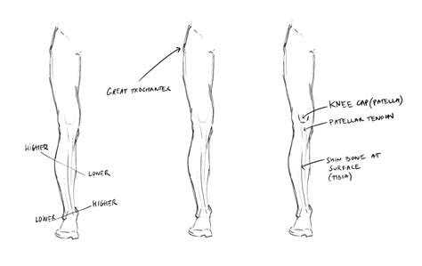 Como Desenhar Pernas Masc E Fem Drawing Tips Drawing Legs Drawing