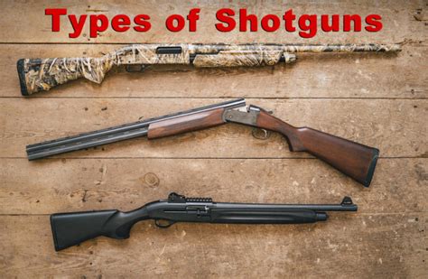 Types Of Shotguns An Easy To Follow Guide