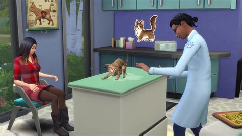 The Sims 4 Cats And Dogs 130 Vet Clinic Trailer Screens Simsvip