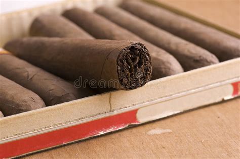 Kubanische zigarren umfassen alle zigarren. Kubanische Zigarren Im Kasten Stockbild - Bild von havana ...