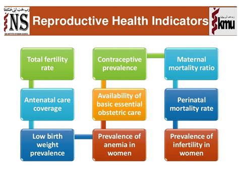 Reproductive Health Ppt