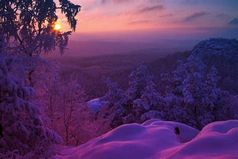 87 Best Images About Purple In Nature On Pinterest