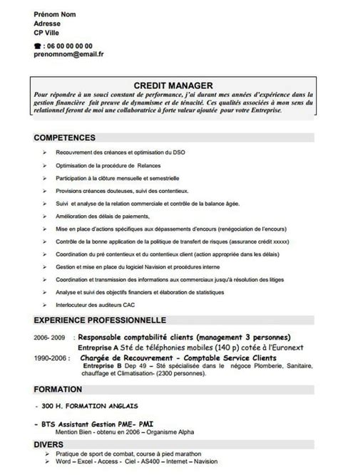 Cv Par Compétences Exemples Et Conseils Pour Le Réussir