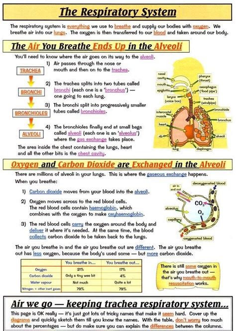 Pin By Ronnie28101415 On Nursing Study Guide Medical School Studying