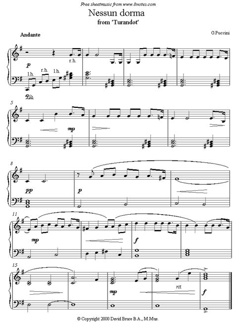 The translation of calaf's aria from puccini's 'turandot'. pimenovaekaterina77: DESCARGAR NESSUN DORMA