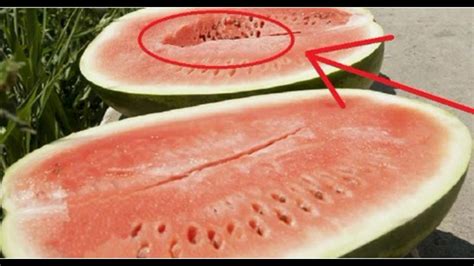 You Should Never Ever Eat Watermelons Like This Absolutely Never
