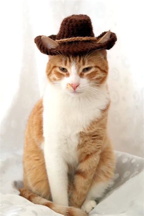 Cowboy Hat For Cats Bandana Add On Option Cowboy Halloween Costume For