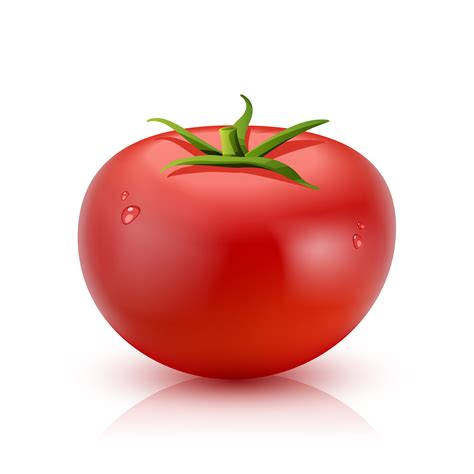 Realistic Tomato Isolated 467448 Vector Art At Vecteezy