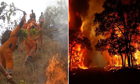 Some 165 forest fires occurred in kerala in 2016 with the highest number recorded in wayanad and idukki (30 each), followed by palakkad, 28. Forest fire breaks out in Indian state, Uttrakhand - Newz4Ward