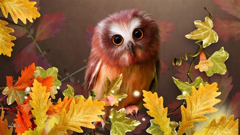 Cuteautumnowloakfallleavesbrown Owl Pictures Fall Wallpaper