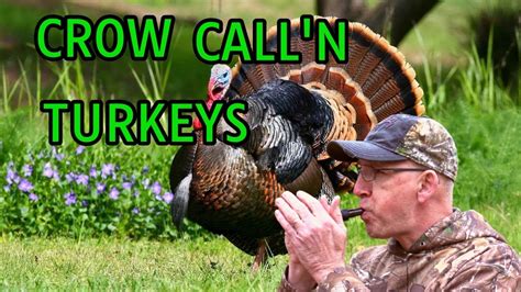 You Can Call Turkeys With A Crow Call Youtube