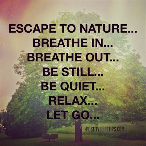 Escape To Nature Breathe In Breathe Out Be Still Be Quiet