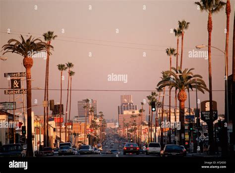 Sunset Boulevard Los Angeles Stock Photo Alamy