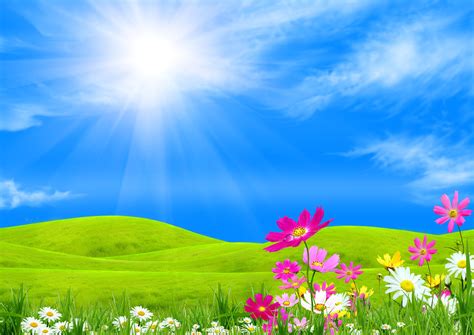 71 Free Spring Background Images