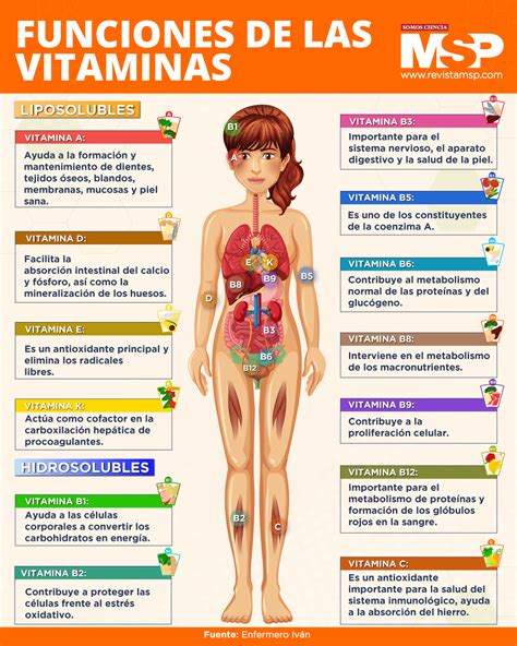 funciones de las vitaminas
