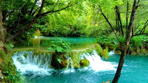 Waterfall Pond Wallpaper And Background Image 1366x768