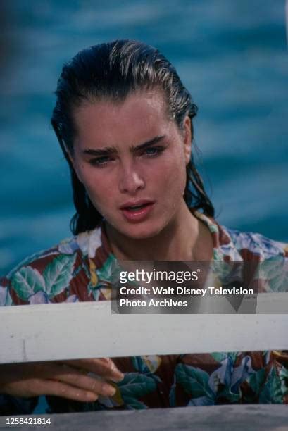 Brooke Shields 1984 Photos And Premium High Res Pictures Getty Images
