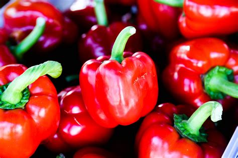 Der pflanzabstand beträgt in der reihe 40 bis 50 zentimeter und zwischen den reihen. Paprika - BioHausGarten.de