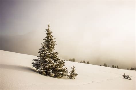 5488x3662 5488x3662 Brown Winter Snow Ridge Top Landscape Fog