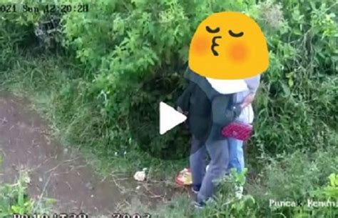 Viral Sejoli Mesum Di Kebun Teh Karanganyar Kades Sayangkan Video