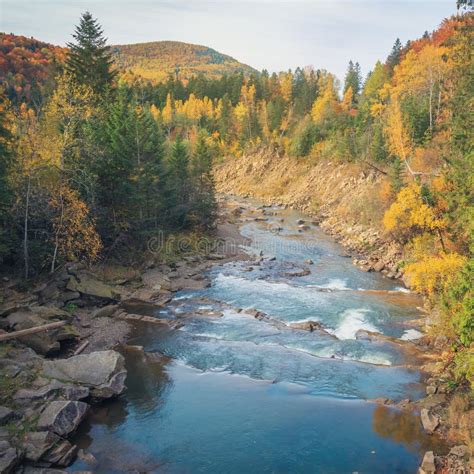 Beautiful Fast Mountain River In Autumn Forest Stock Photo Image Of