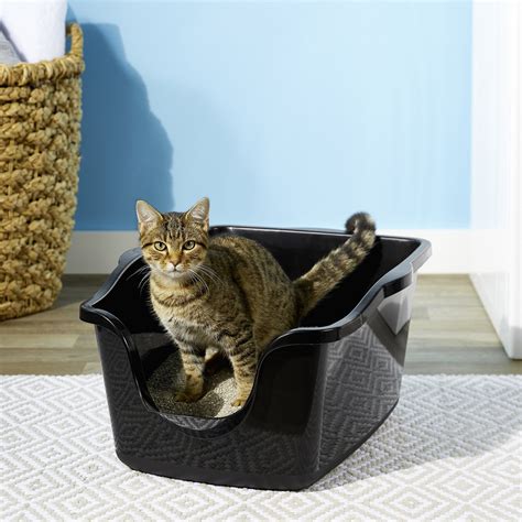The Best High Sided Litter Boxes For 2022 Az Animals