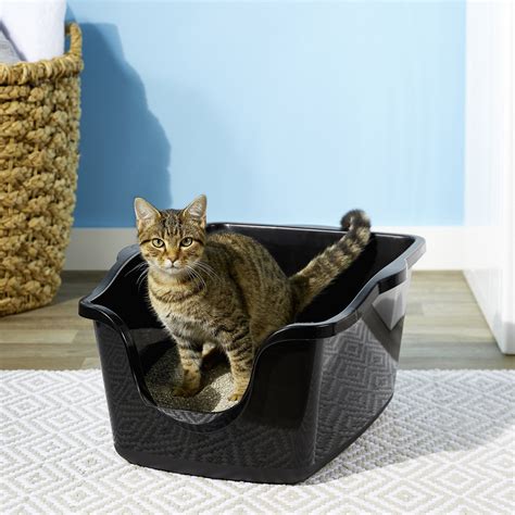 17 Best Extra Large Litter Box For Cats 2023 Reviews