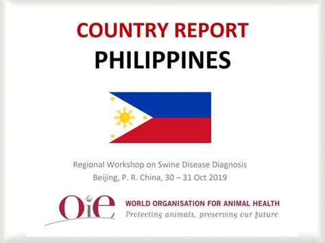 1 7philippinescountry Reportpdf