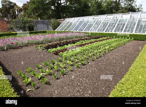 Walled Vegetable Garden At Heligan Stock Photo Alamy