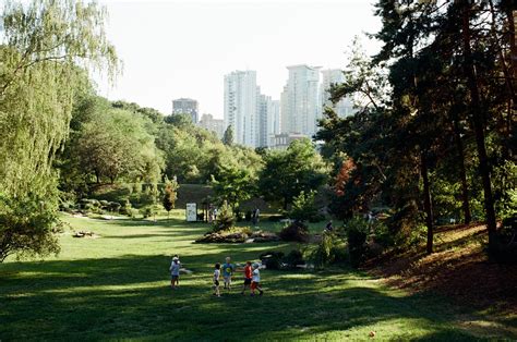 Urban Forests How Can We Make Them Spaces For Everyone World