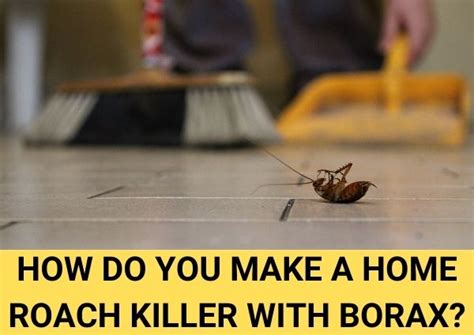 Homemade Roach Killer With Borax 3 Simple Recipes