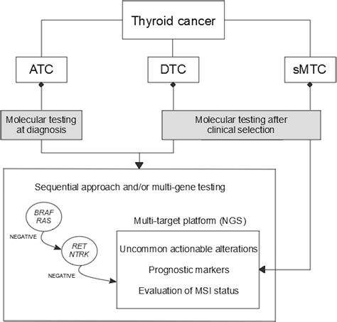 Frontiers Predictive Biomarkers In Thyroid Cancer