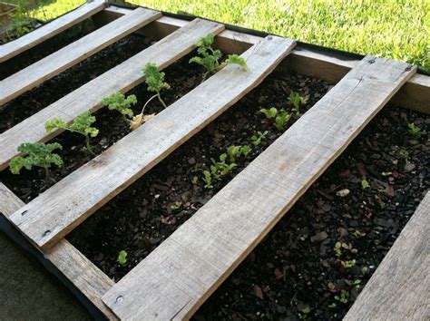 Grow Your Own Food Pallet Projects Pallets Garden Pallett Projects