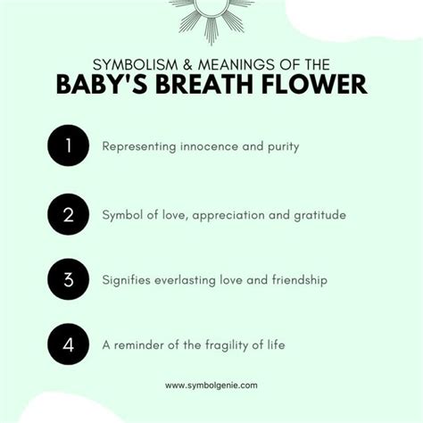 Symbolism And Meanings Of Babys Breath Flower A Comprehensive Guide