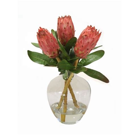 Pink Proteas In Glass Vase Distinctive Designs