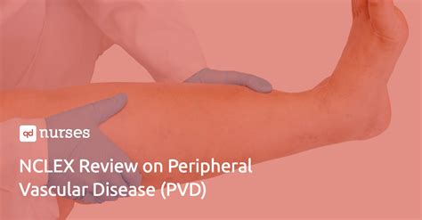 Nclex Review The 2 Classifications Of Peripheral Vascular Disease Qd