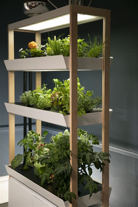 Rise Gardens Raises Seed Funding For An Indoor Hydroponic Gardening