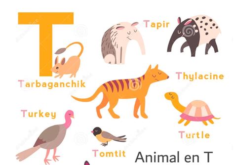 Animal En T Animal Commençant Par T Informations