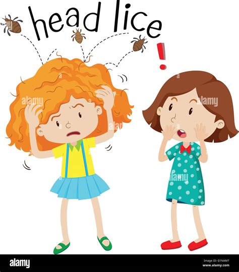 Head Lice Clipart Hi Res Stock Photography And Images Alamy