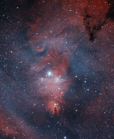 Ngc2264 Cone Nebula And Fox Fur Rastrophotography