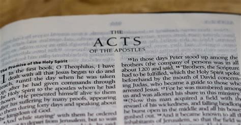 Who Wrote The Book Of Acts Of Apostles In The Bible / How to Read the