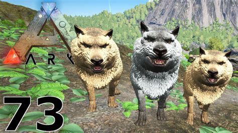 Ark Survival Evolved Gameplay Dire Wolf Rudel S4e73 Lets Play