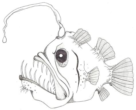 Zoes Sea Creatures — Zoe Boekbinder Sea Animals Drawings Fish