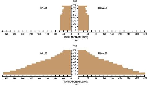 The Age Sex Structure Of A Population Can Be Depicted In The Form Of A