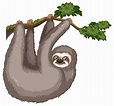 Sloth 432026 Vector Art at Vecteezy