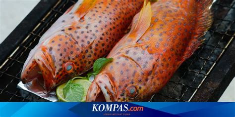 (sbs) aneka resepi via banyakresepi.blogspot.com. Resep Ikan Kerapu Goreng : Resep Ikan Kerapu Bakar ...