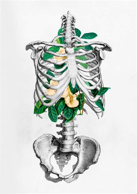Notes On Ms3 Human Anatomy Art Anatomy Art Medical Art