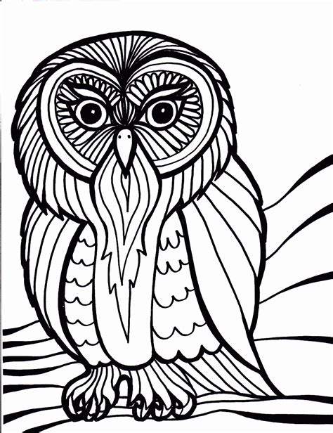 For boys and girls, kids and adults, teenagers and toddlers, preschoolers and older kids at school. Bird Coloring Pages | Coloring Pages To Print
