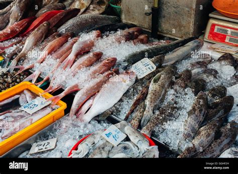Fresh Fish On The Ice At The Fish Market Of Penang George Town Stock