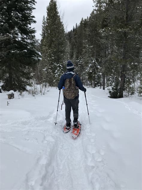 Snowshoeing For Beginners The First Timers Guide Snowshoe Mag